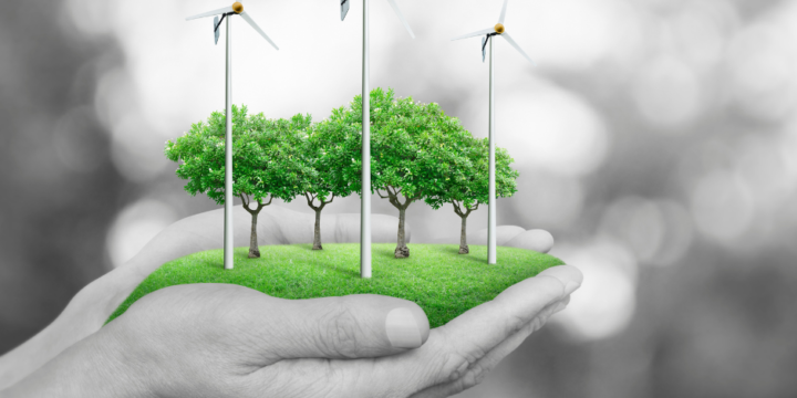 Tecnico per l’ambiente – Gestione e recupero del territorio